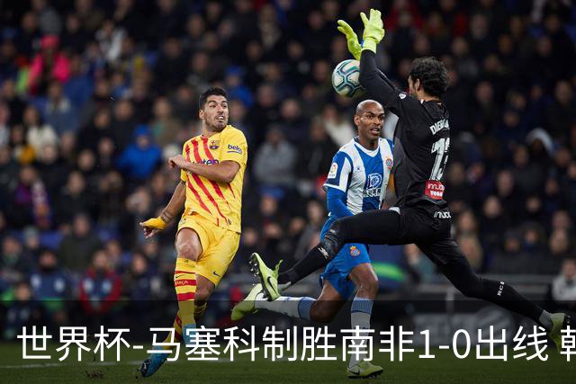 世界杯-马塞科制胜南非1-0出线 韩国积3分获小组第三待定